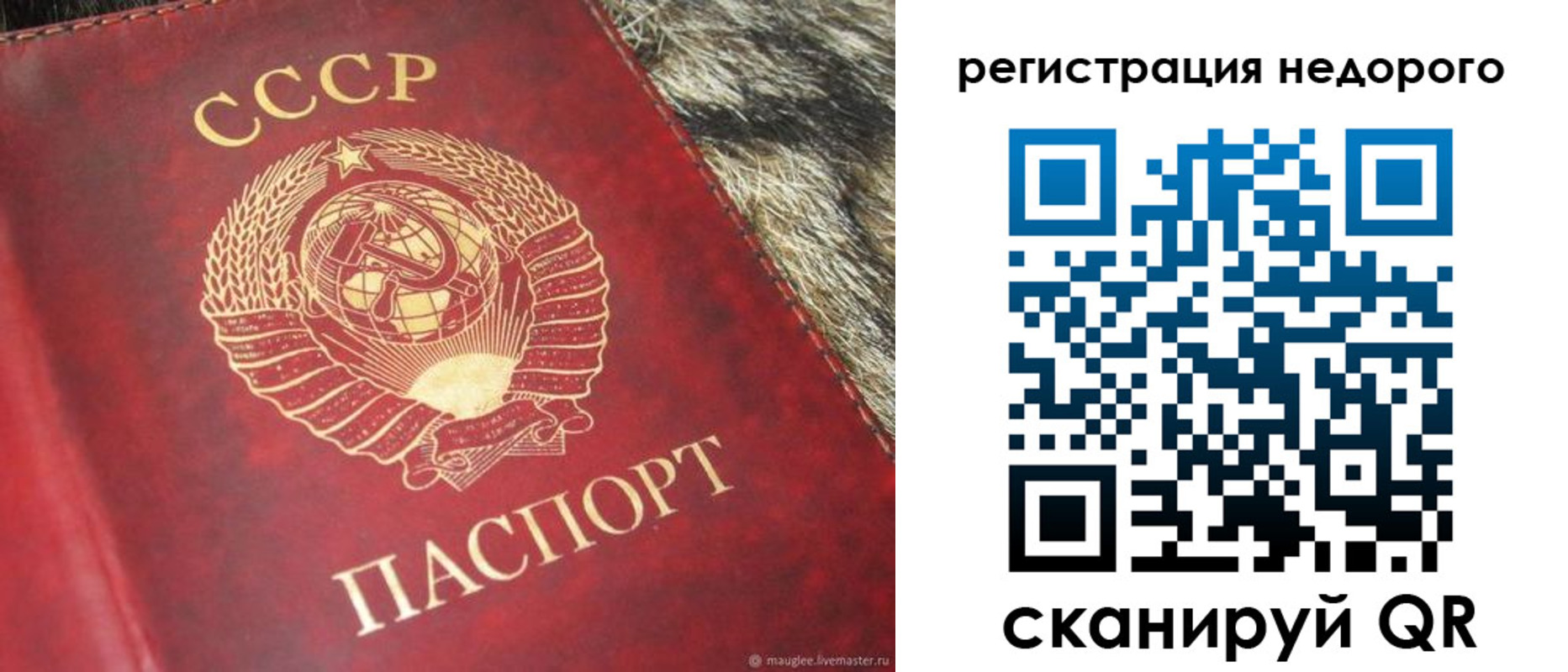 прописка ребенка в Алейске